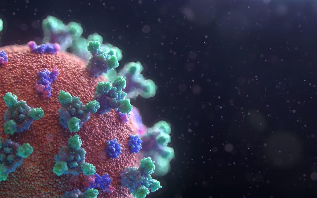 Visualization of the Coronavirus