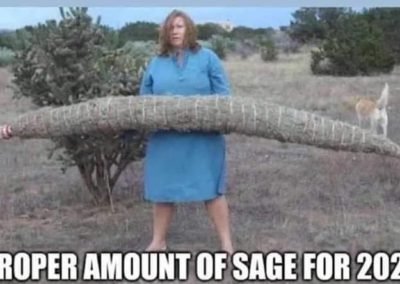 Sage